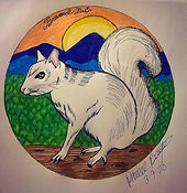White Squirrel Brevard NC Drawing