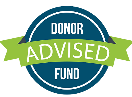 Giving with donor advised fund.png