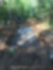 IMG_1076.jpeg