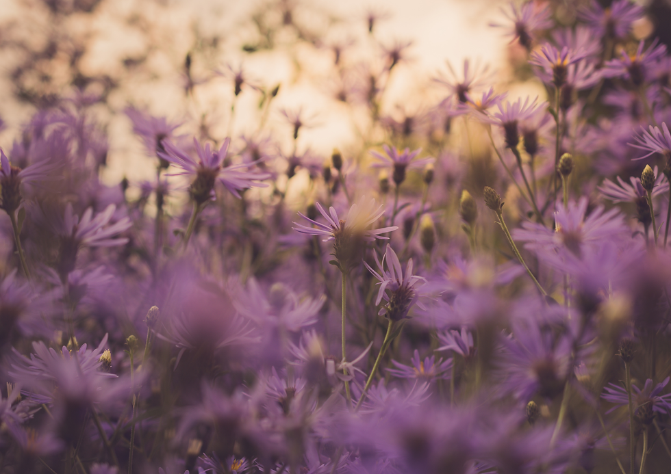 Annual Report 2025 images.png