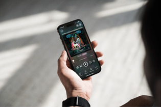 A person holds a smartphone with an audiobook displayed on the screen