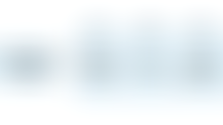 Relevance of Adopting Right Asset Strategy in Current Scenario