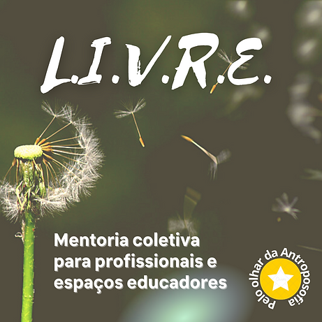 L.I.V.R.E. divulg (2).png