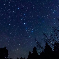 フォレストステーションの芝生広場からの夜景