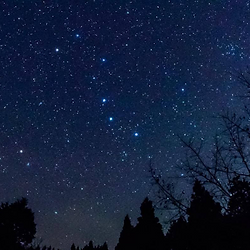 フォレストステーションの芝生広場からの夜景