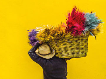 O fluxo infinito das polaridades!