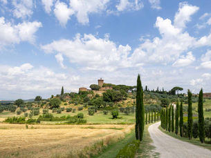 ボッテガ・ヴェルデ本社のあるビラと農園