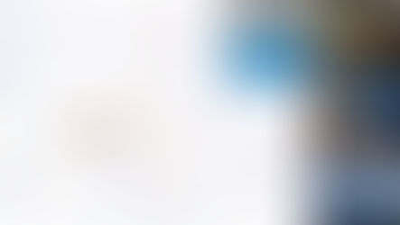 現地開催のナイトマルシェ