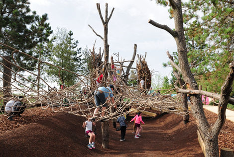 006_ErectArchitecture_Tumbling-Bay_Photo-Davi.width-2400