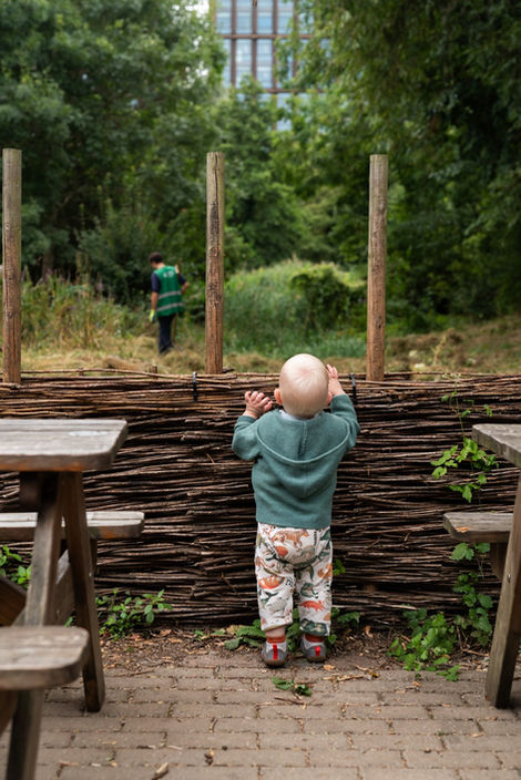 RFP-CAMLEY-STREET-NATURAL-PARK-LOWRES-018.width-2400