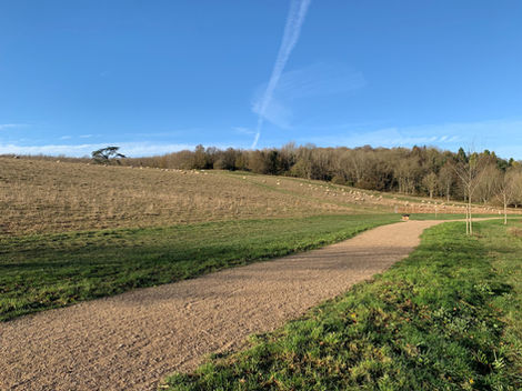 Green Drive 01 - optimised