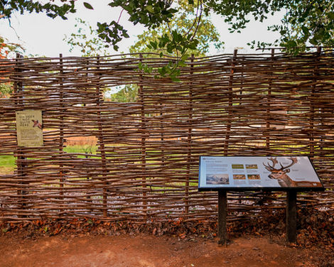 Interp-Boards-1 - optimised