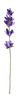 VintageLavender_15.png