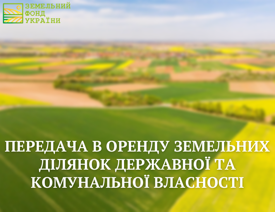 Передача в оренду земельних ділянок державної та комунальної власності