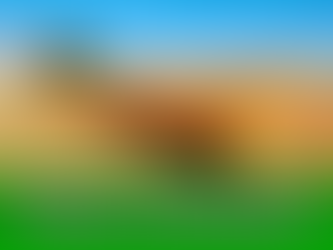 Спадкування часток Фермерського господарства