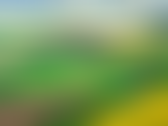 Інтереси та бажання власників і користувачів земельних ділянок можуть не враховутися.