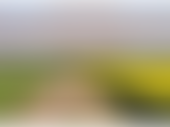 У Верховній Раді України зареєстрований новий Проект Закону № 7289 від 15.04.2022