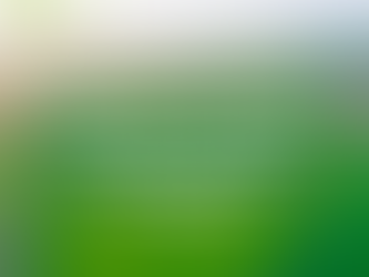 Спір про накладення земельних ділянок: як має діяти суд, нагадав ВС