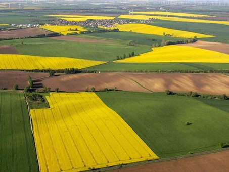 У земельному законодавстві визначають порядок передачі земель для суспільних потреб