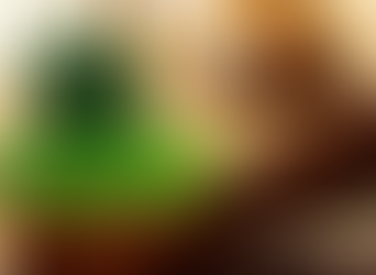 Які дії стануть серйозною підставою для конфіскації земельної ділянки