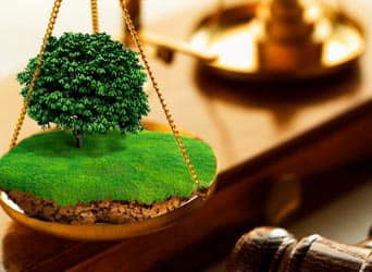 Які дії стануть серйозною підставою для конфіскації земельної ділянки