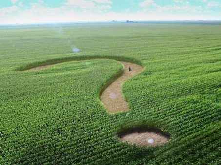 Воєнний стан, запити на публічну інформацію, що робити?