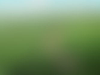 Плата за землю у період дії воєнного стану