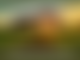 Спадкування майнових прав засновника фермерського господарства.