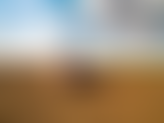 Посівна кампанія 2022 у воєнний час.