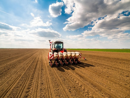 Посівна кампанія 2022 у воєнний час.