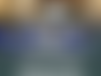 Бундестаг схвалив надання Україні важкого озброєння