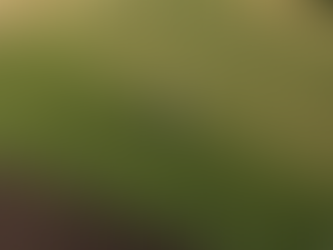 Озвучено особливості закону про продовольчу безпеку в умовах воєнного стану