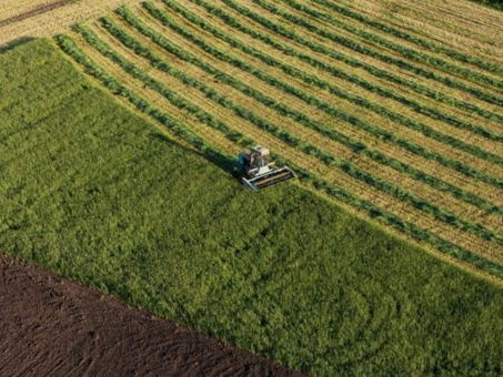 Озвучено особливості закону про продовольчу безпеку в умовах воєнного стану
