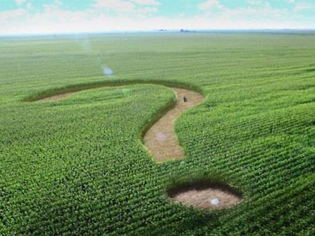 Фермерське господарство та можливість продажу фермерського господарства.