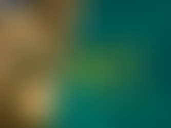 Введення воєнного стану в Україні та зміни в законодавстві.