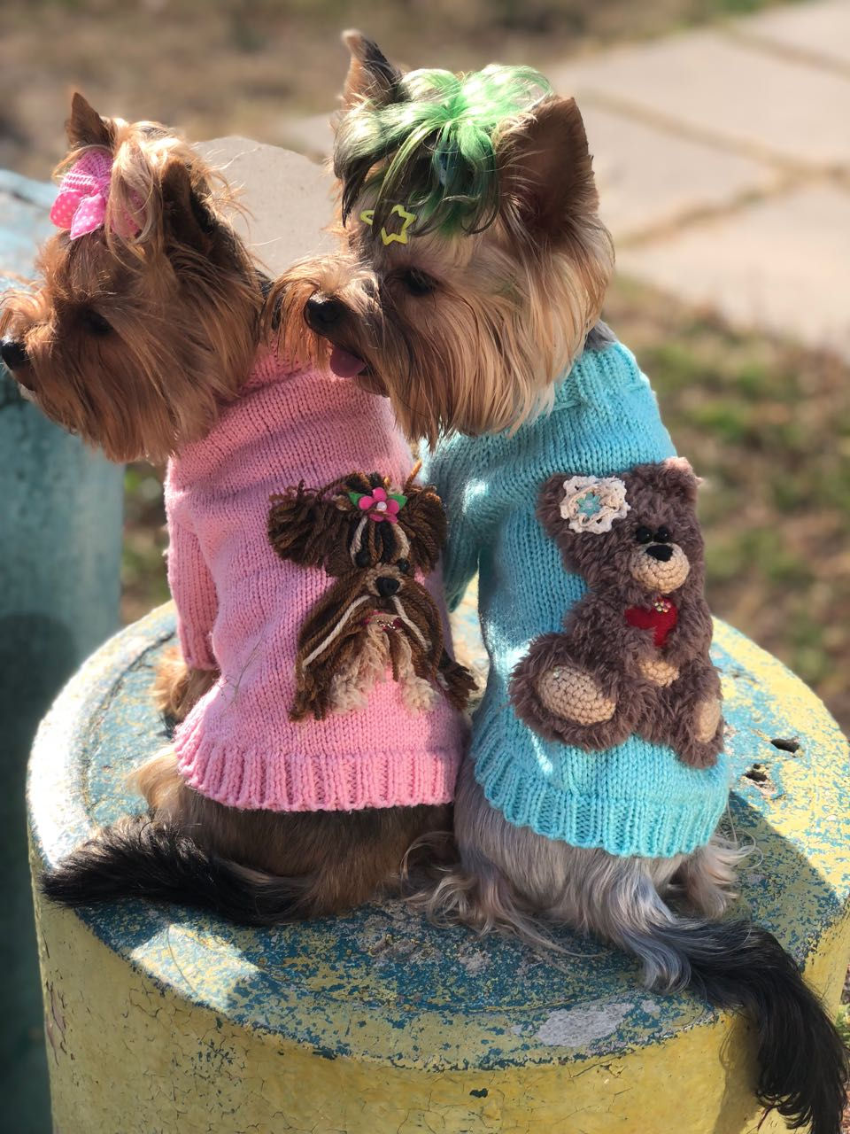 Миниатюра: Craft Bee, Ірина Завадська, Ирина Завадская, Одежда для собак, Одежа для собак, Светр для собак, Свитер для собак