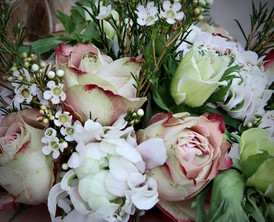 untitled image