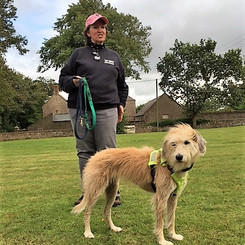 meet a selection of dogs already involved in AAPT