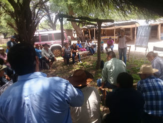AGRICULTURA FAMILIAR E INTA EN EL MEJORAMIENTO PRODUCTIVO OVINO EN SALTA FORESTAL