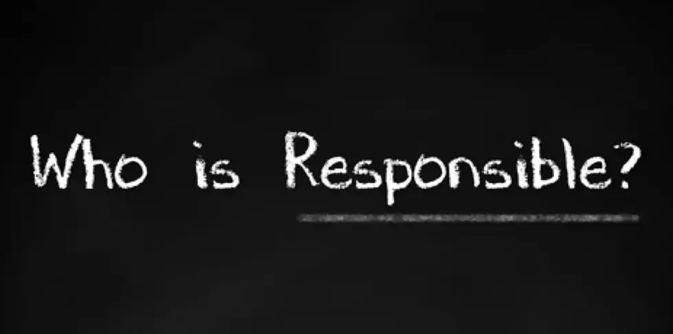 Who is responsible for implementing a hedging program?