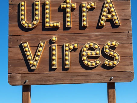 Court Controls on Delegated Legislation