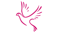 #D10D6C (1).png