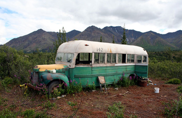 Into the Wild | Derek R. Hill
