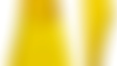 Finis Gold Zoomer Fins