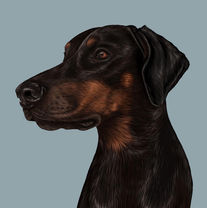 Digital Pet Portrait Commission 