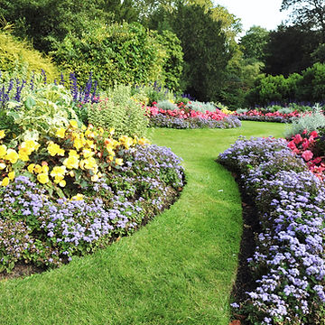Luscious Flower Garden