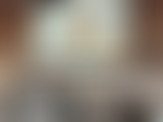 28.º Seminário Internacional de Defesa da Concorrência – “Fusões Verticais: novidades, o papel das análises econômicas e a importância de um guia de análise”