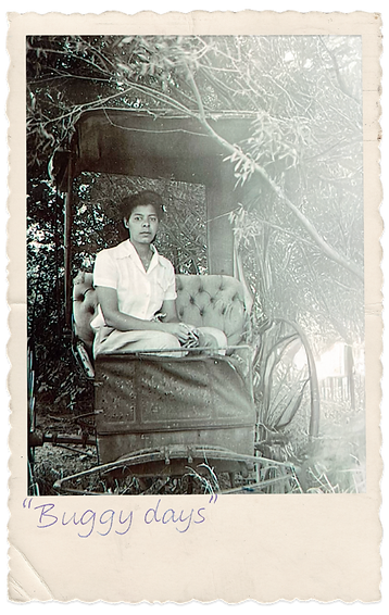 doris-gallery-img-4.png