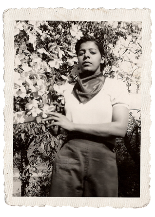 doris-gallery-img-8.png