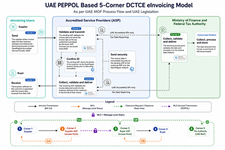 Selecting your UAE E-Invoicing ASP?You may want to read this first.